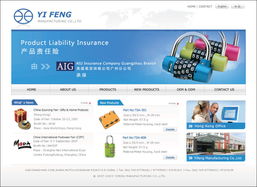 網(wǎng)站設(shè)計(jì)與軟件開(kāi)發(fā) 雙翼齊飛，共創(chuàng)數(shù)字未來(lái)